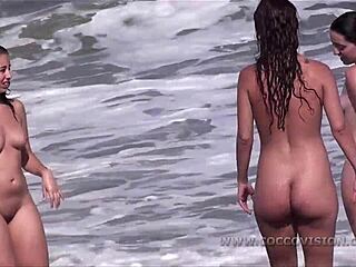 Mulheres peituda se revezam tomando banho de sol na praia
